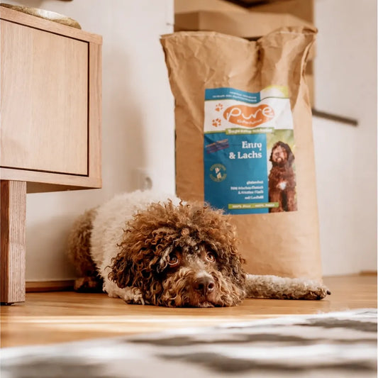 Hund liegt am Boden neben einem grossen Sack PURE Ente & Lachs – natürliches Trockenfutter für Hunde