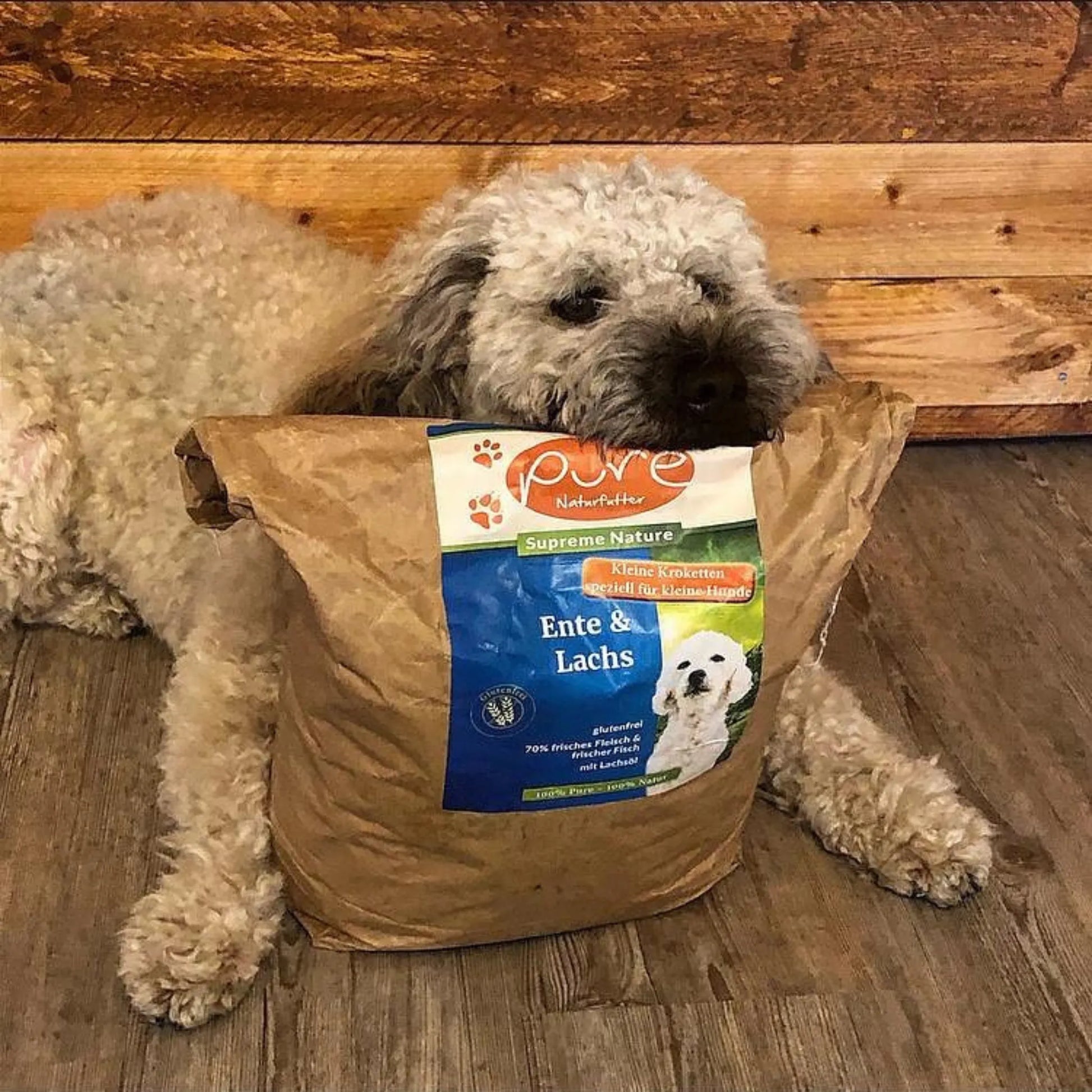 Hund liegt hinter einem grossen Futtersack PURE Ente & Lachs Kleine Kroketten – natürliches Trockenfutter für kleine Hunde
