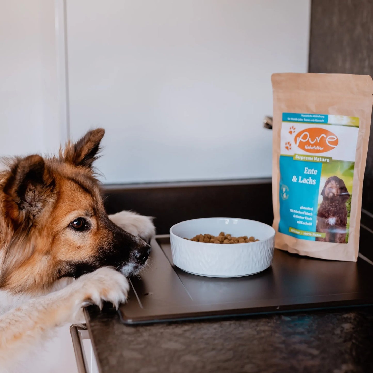 Hund schaut in der Küche über die Arbeitsplatte auf einen Napf neben einem Beutel PURE Ente & Lachs – natürliches Trockenfutter für Hunde