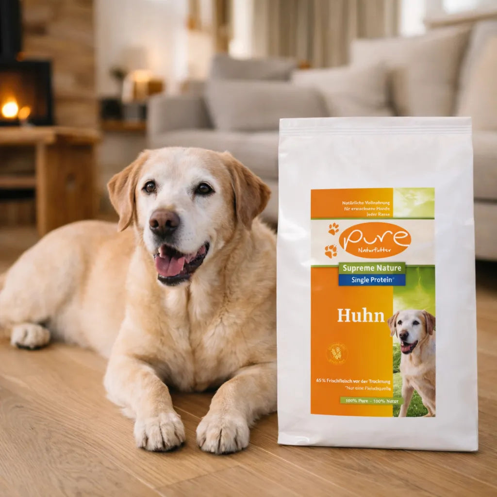 Hund neben getreidefreiem Trockenfutter Huhn von PURE im Wohnzimmer