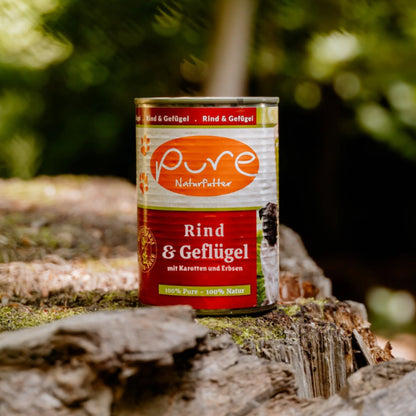 Dose PURE Hundemenü Rind & Geflügel steht auf einem Baumstamm im Wald – hochwertiges Nassfutter für Hunde
