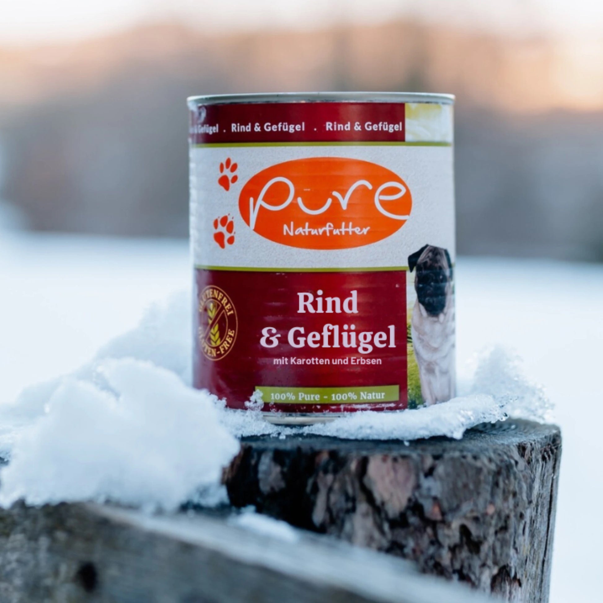 Dose PURE Hundemenü Rind & Geflügel steht im Schnee auf einem Holzpfosten – getreidefreies Nassfutter für Hunde