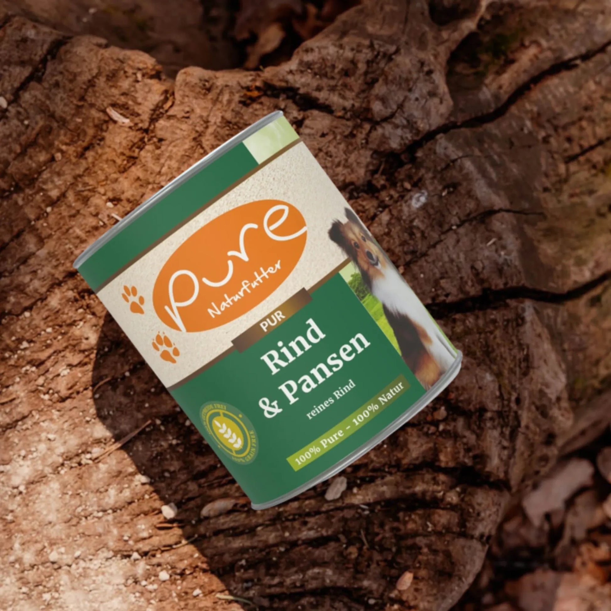 Dose PURE Hundemenü Rind & Pansen liegt auf einem Baumstamm im Wald – natürliches Single-Protein-Nassfutter für Hunde