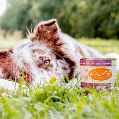 Hund liegt im Gras neben einer Dose PURE Hundemenü Wild & Rind – hochwertiges Nassfutter für Hunde