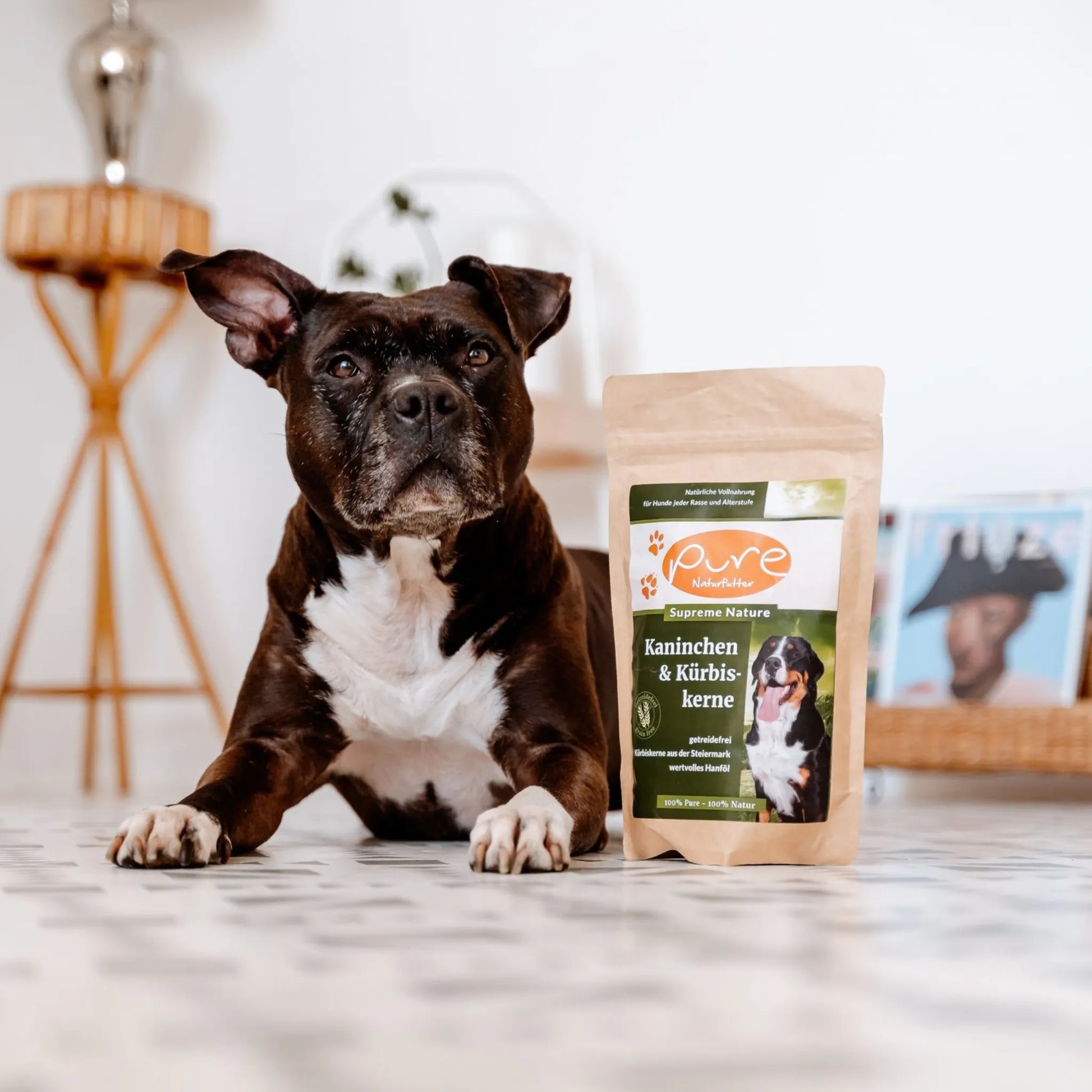 Hund sitzt im Innenraum neben einem Beutel PURE Kaninchen & Kürbiskerne – getreidefreies Hundefutter
