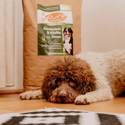 Hund liegt am Boden vor einem grossen Sack PURE Kaninchen & Kürbiskerne – getreidefreies Trockenfutter für Hunde