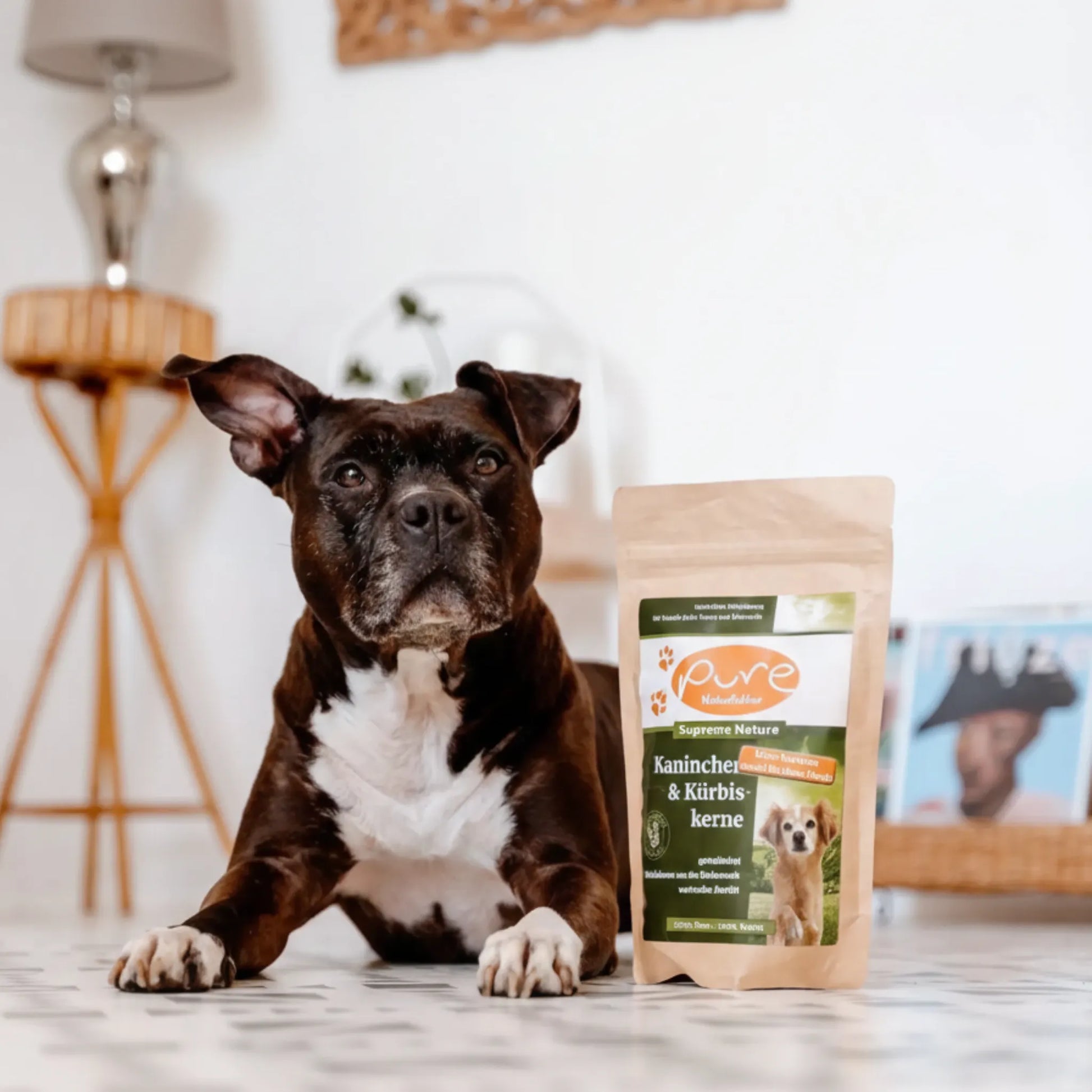 Hund sitzt im Innenraum neben einem Beutel PURE Kaninchen & Kürbiskerne Kleine Kroketten – natürliches Trockenfutter für kleine Hunde