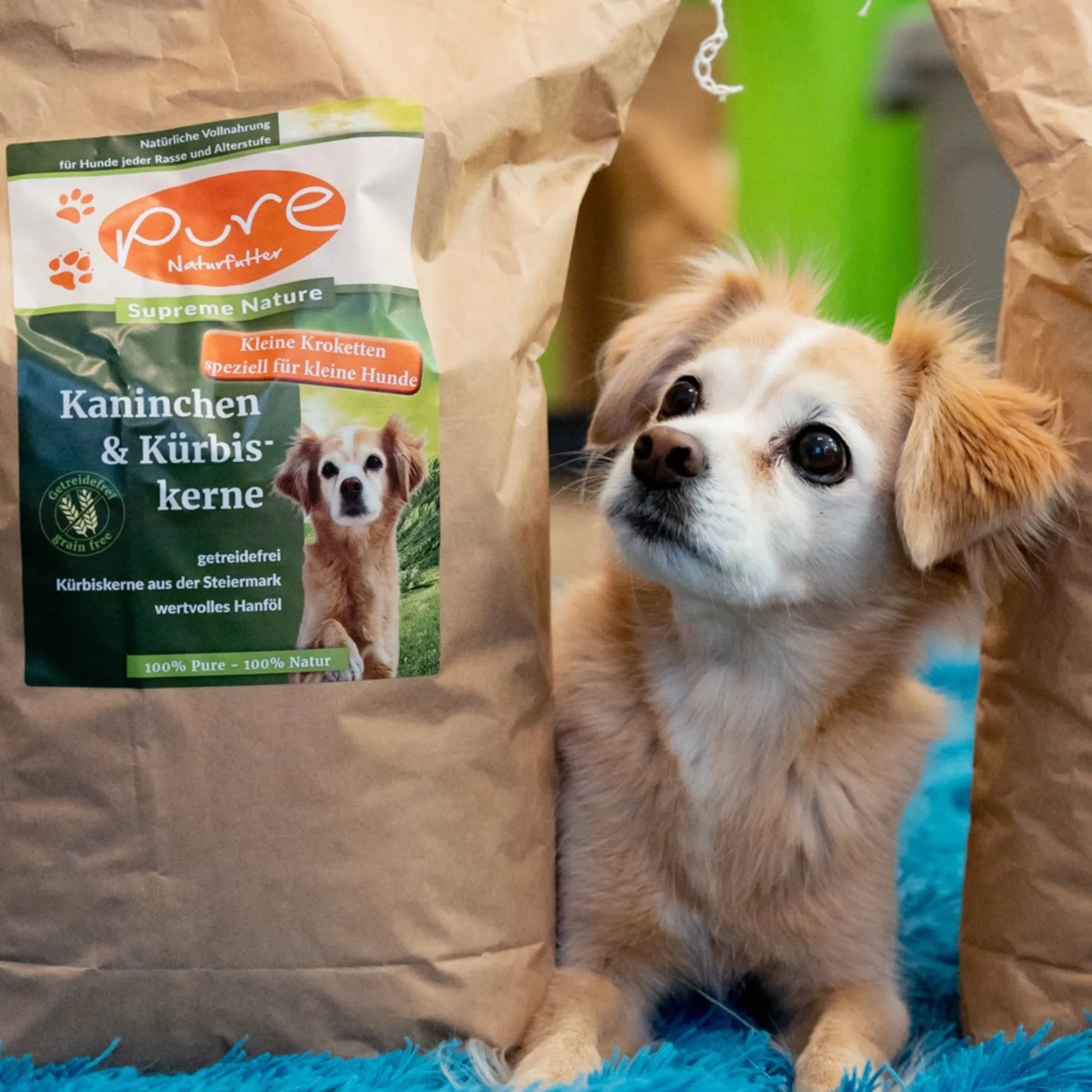 Hund sitzt zwischen zwei grossen Säcken PURE Kaninchen & Kürbiskerne Kleine Kroketten – getreidefreies Trockenfutter für kleine Hunde