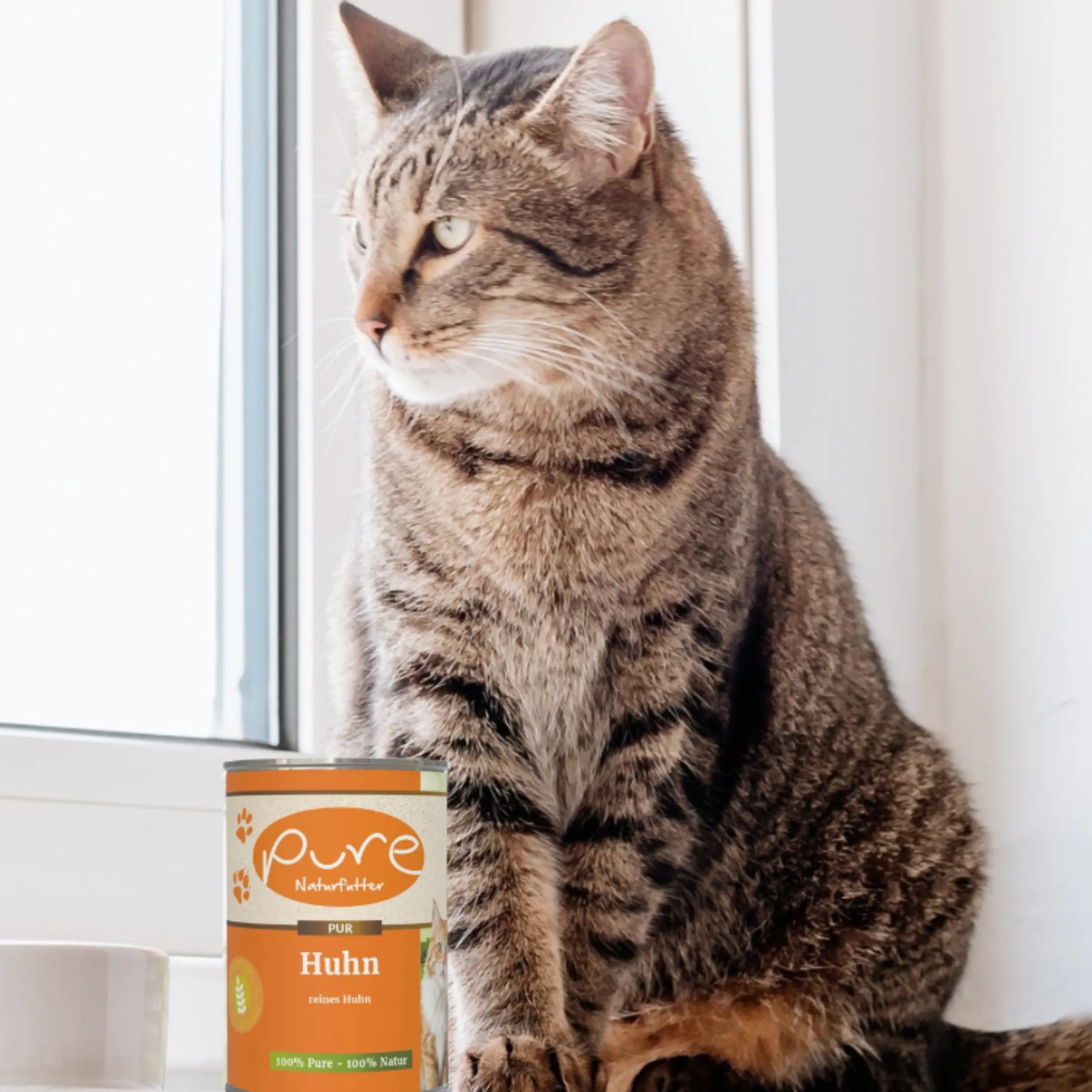 Katze sitzt am Fensterbrett neben einer Dose PURE Huhn – natürliches Single-Protein-Nassfutter für Katzen