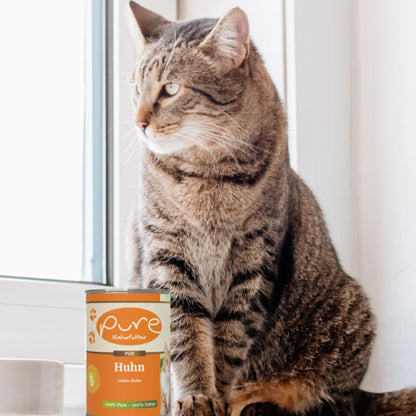 Katze sitzt am Fensterbrett neben einer Dose PURE Huhn – natürliches Single-Protein-Nassfutter für Katzen