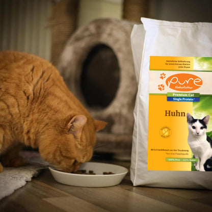 Rote Katze frisst aus einem Napf neben einem Beutel PURE Huhn Trockenfutter – natürliches Single-Protein-Katzenfutter