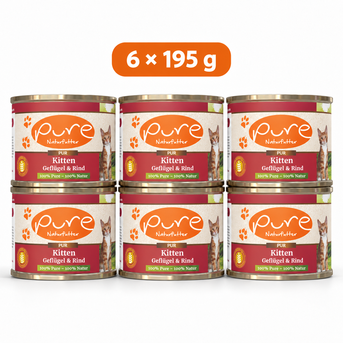 PURE Katzenmenü Kitten Geflügel & Rind Sparpaket mit sechs Dosen à 195 g