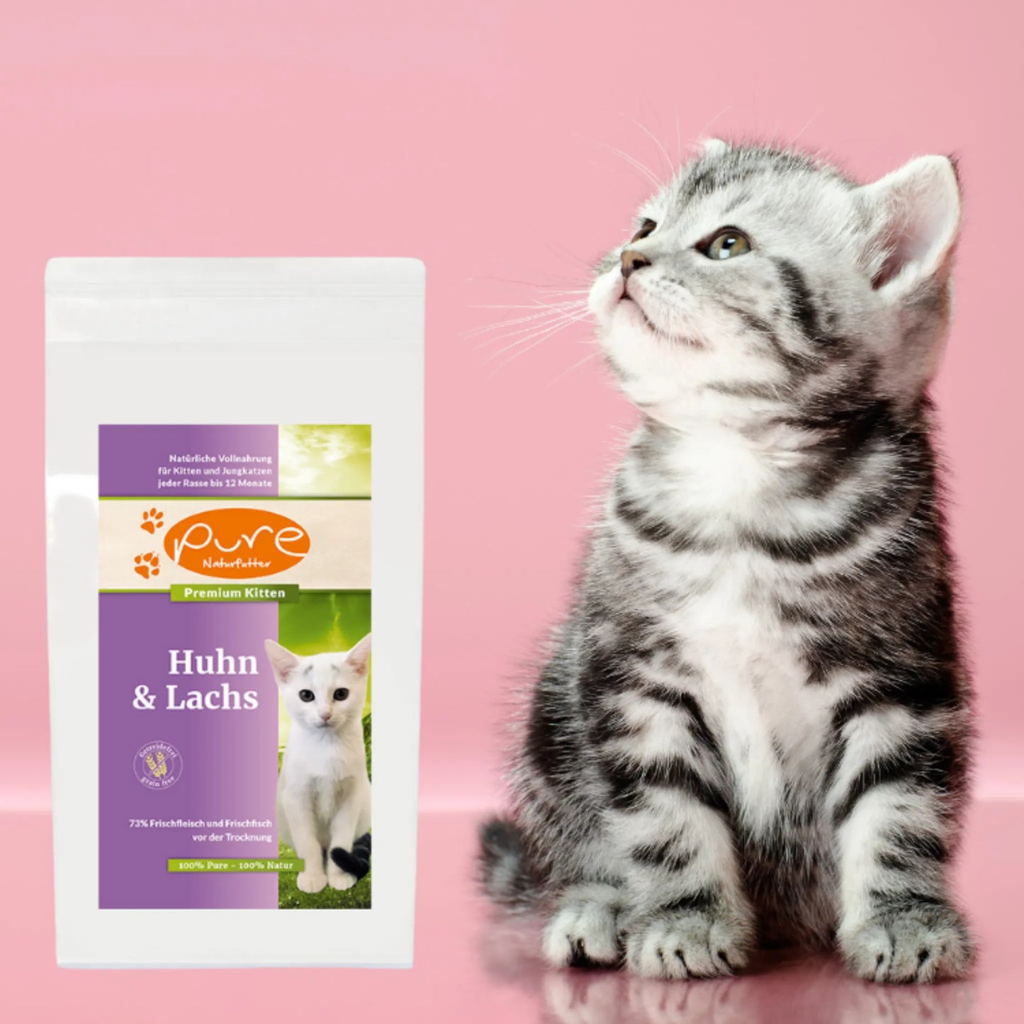 Junges Kätzchen sitzt vor pinkem Hintergrund neben einem Beutel PURE Kitten Huhn & Lachs – hochwertiges Trockenfutter für Kitten