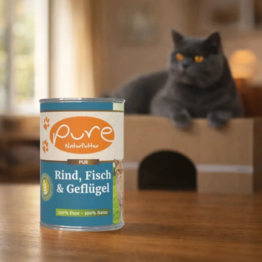 Pure Naturfutter Katze Nassfutter Rind Fisch und Geflügel, hochwertiges Katzenfutter ohne Getreide, Katze im Hintergrund
