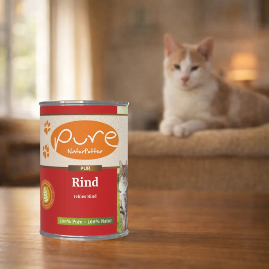 Pure Naturfutter Katze Nassfutter Rind, hochwertiges Katzenfutter reines Rind ohne Getreide, Katze im Hintergrund