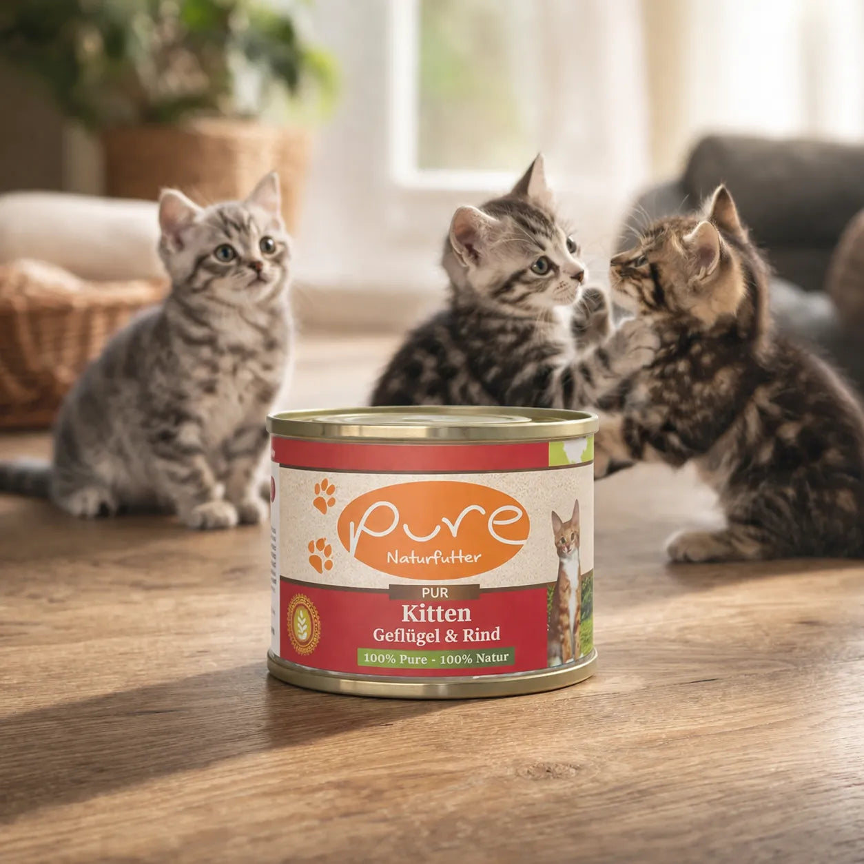 Pure Naturfutter Kitten Nassfutter Geflügel und Rind, hochwertiges Katzenfutter für junge Katzen, spielende Kätzchen im Hintergrund