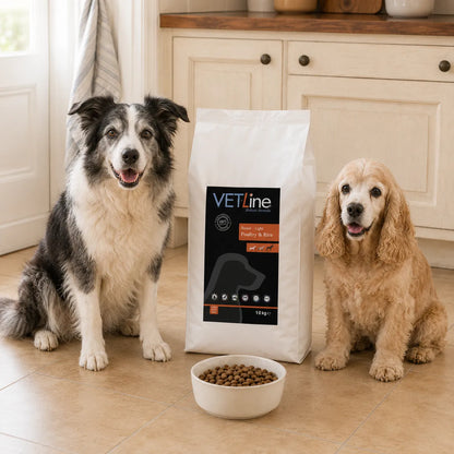 Zwei ältere Hunde neben VET-Line Geflügel & Reis Senior Light Hundefutter 10 kg in heller Küche
