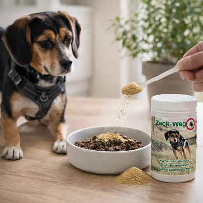 Hund bekommt Zeck Weg Pulver als natürliches Ergänzungsfutter gegen Zecken über Trockenfutter gestreut