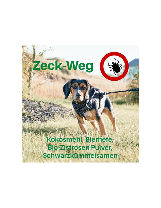 Zeck-Weg mit Zistrose, Kokosmehl und Schwarzkümmel – natürliche Lösung zur Unterstützung des Schutzes vor Zecken für Hunde.